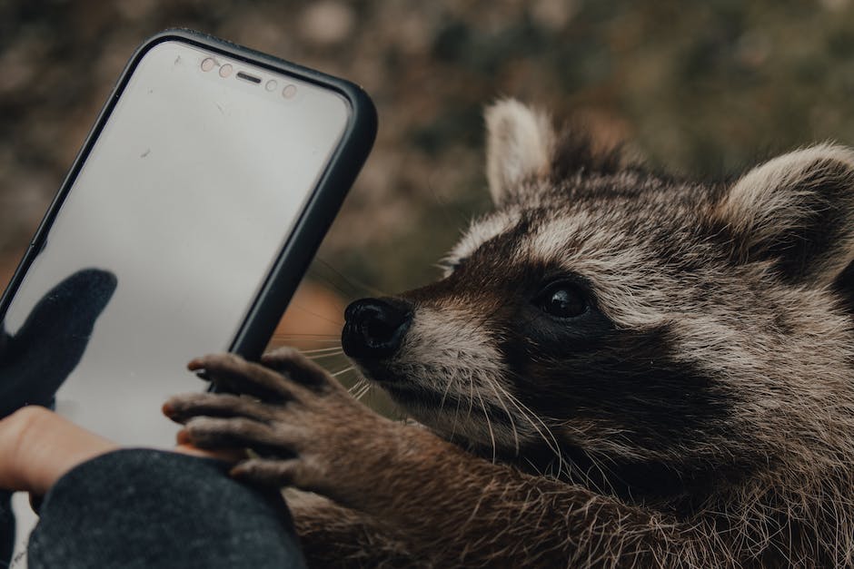  Google Konto verwenden, um Handy zu entsperren